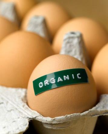 eggs organic